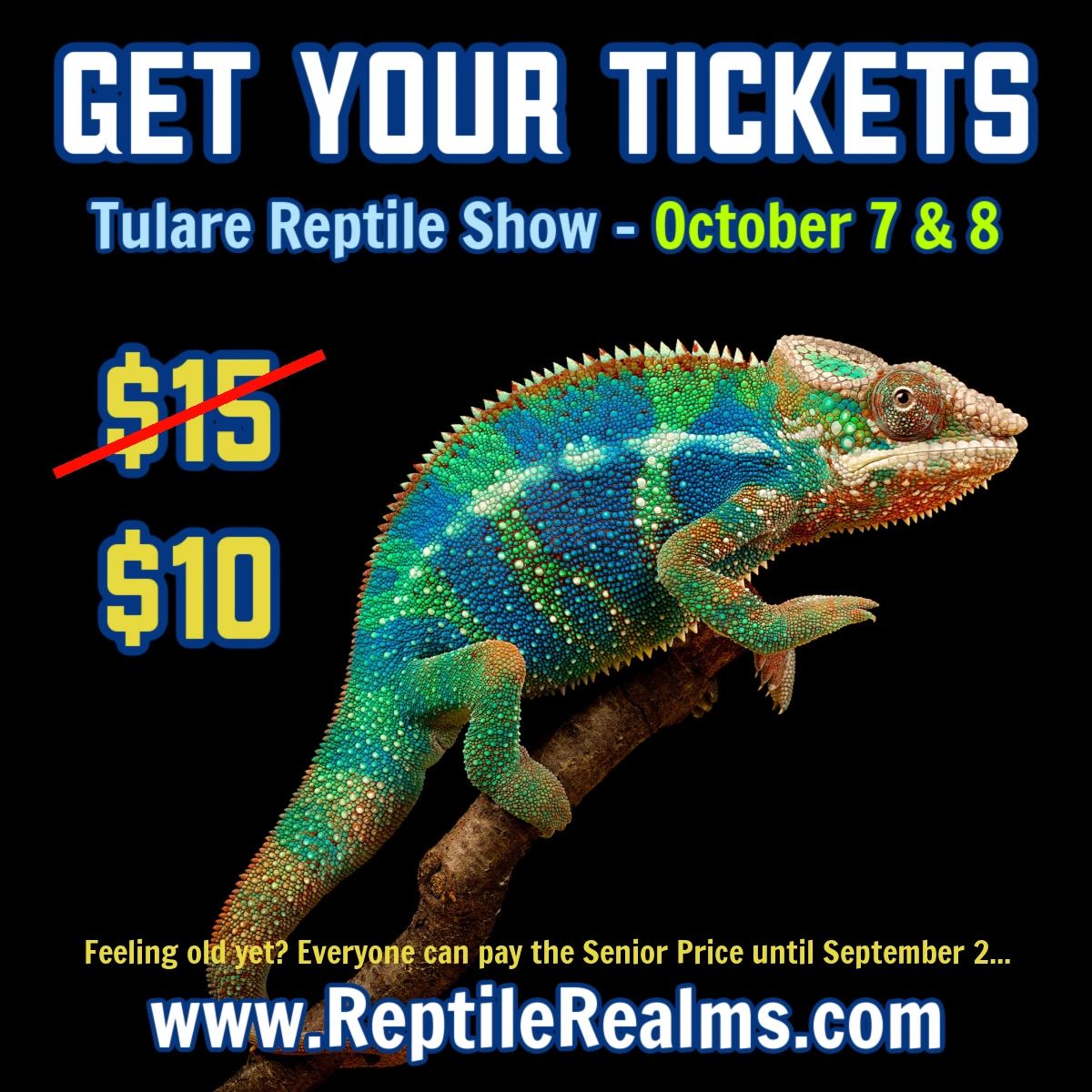 Reptile Realms Bay Area Reptile Expos